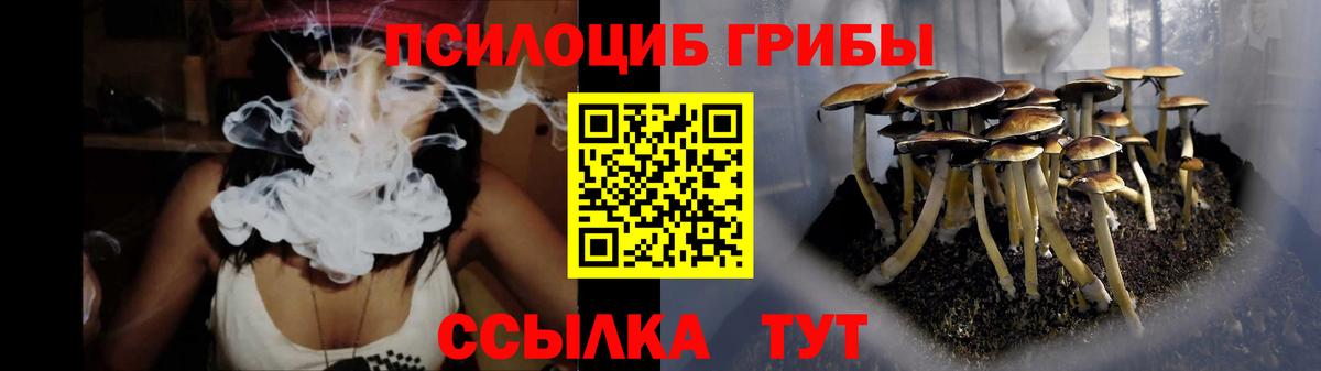 Галлюциногенные грибы прущие грибы  Вход с VPN  Дубна  Псилоцибиновые грибы Psilocybe 